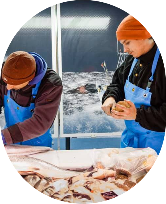 poissons frais à Nantes, Sorinières et Vertou